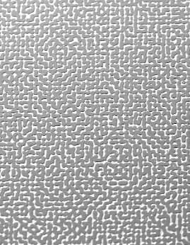 CANVAS-image